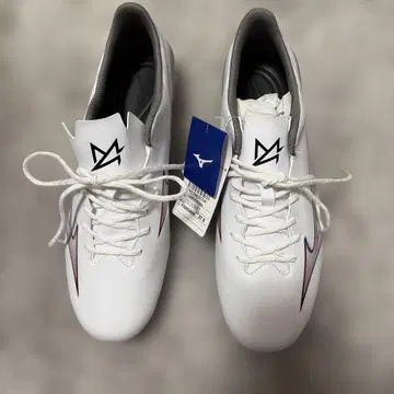 MIZUNO ALPHA 스파이크