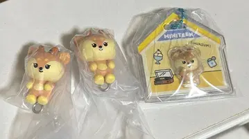 MINITEEN 조슈아 카니칸, 볼체인