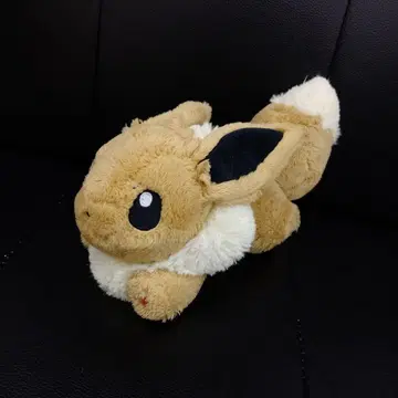포켓몬 센터 이브이 봉제 인형