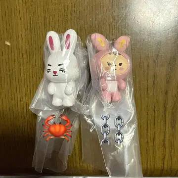 MINITEEN 가챠 에스쿱스 정한 스트랩