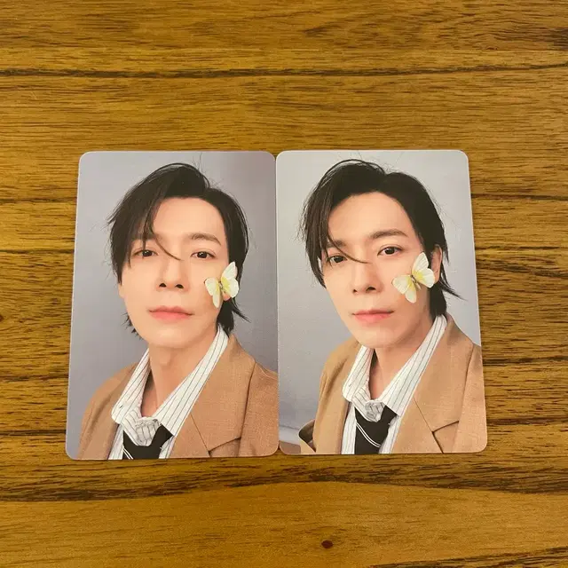 동해 콘서트 트래카 나비 동해 포카