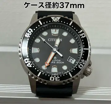 시티즌 프로마스터