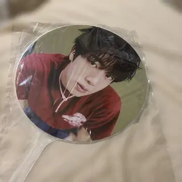 BTS JIN 진 부채 IMAGE PICKET 라이브 굿즈