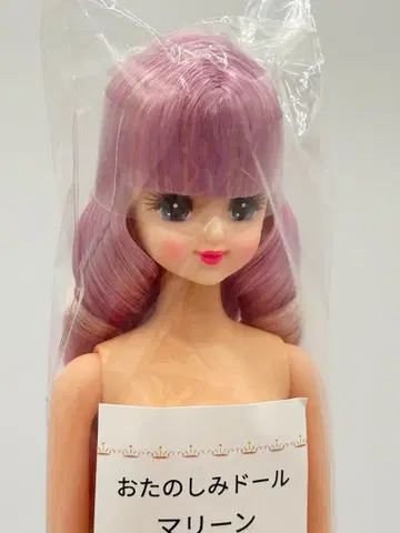 마린 리카짱 캐슬 오타노시미 인형 연보라색 금발 계열 제니 프렌드