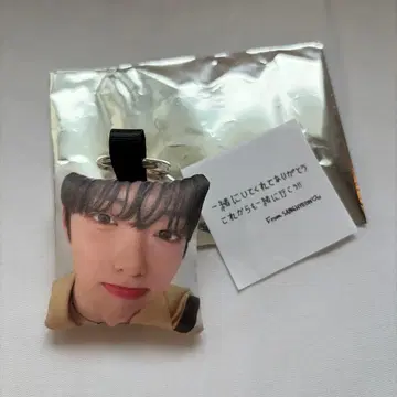ALD1 산현 쿠션 키링 요코하마 팬콘 회장 한정판 캡슐 토이