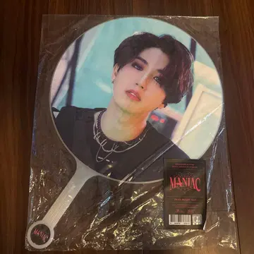 straykids 한 지성 MANIAC 서울 콘서트 부채