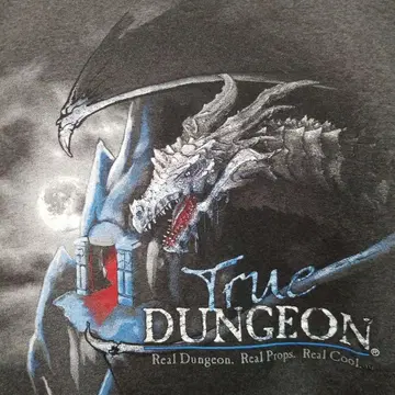 Heralds of chaos 드래곤 그래픽 게임 티셔츠 구제 의류