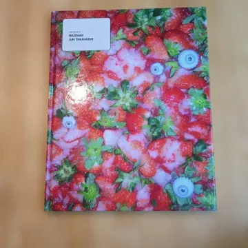 GAS BOOK 19 MADSAKI JUN TAKAHASHI