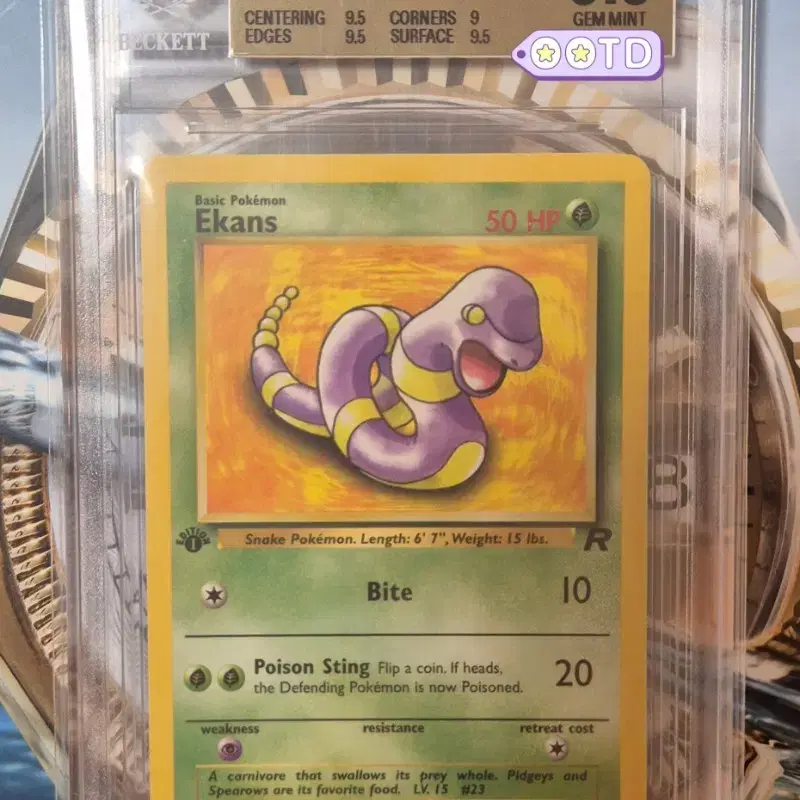 1st edition 초판 BGS9.5 2000 북미판 포켓몬카드 아보