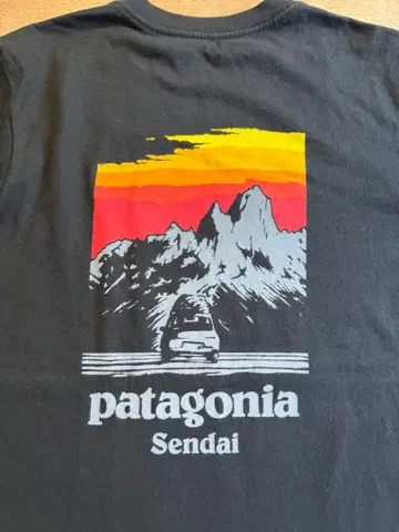 Patagonia 파타고니아 센다이점 한정판 모델 T셔츠 백 프린트 S