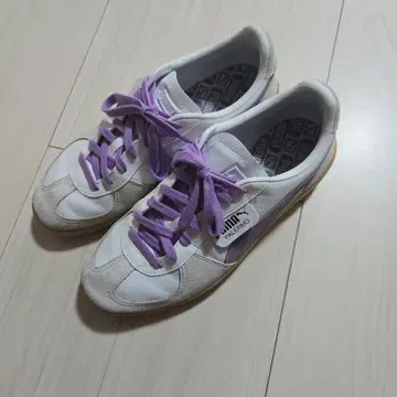 PUMA PALERMO 화이트 퍼플 스니커즈