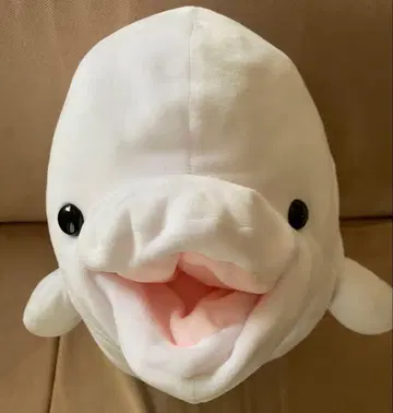 흰돌고래 벨루가 봉제 인형