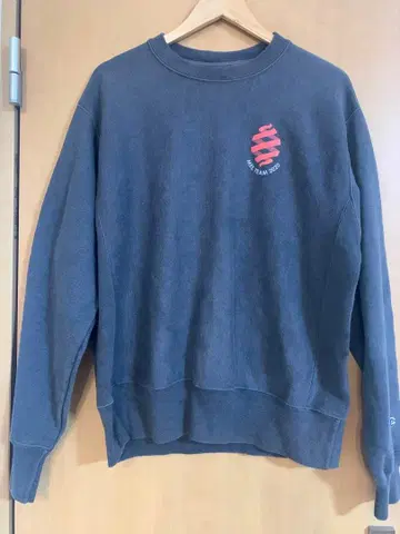 Champion Reverse Weave 맨투맨 BIOFIRE