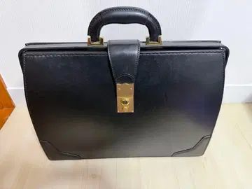 오오츠카세이호 다레스 백