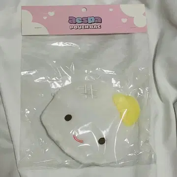 aespa 파우치백 윈터 POUCH BAG winter 한국