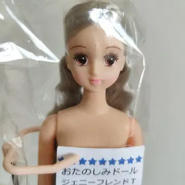 티모테 3 실버 즐거움 인형 제니 리카짱 캐슬 타카라