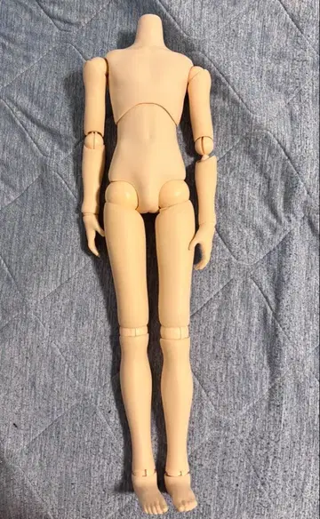 오비츠 55 정크 인형 바디