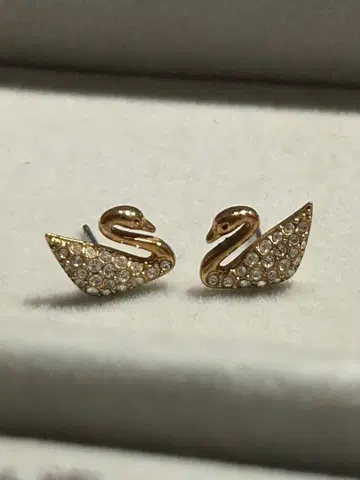 SWAROVSKI 스와로브스키 스완 귀걸이 크리스탈 로즈 골드