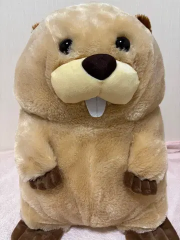 비버 봉제 인형 본체 치비버의 무탄