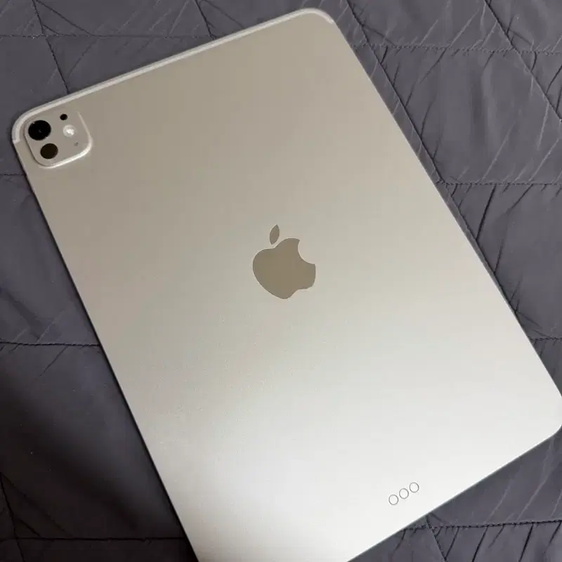 아이패드 프로 11 M5 256GB 실버