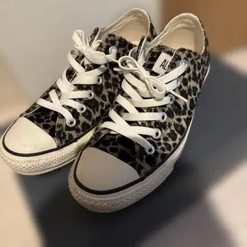 컨버스 올스타 레오파드 무늬 스니커즈 24cm