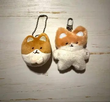 트레기 백현 공식