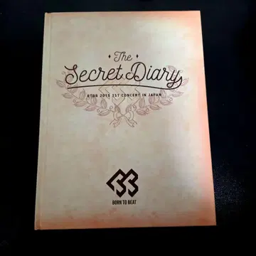 BTOB Secret Diary 2015 1st Concert DVD