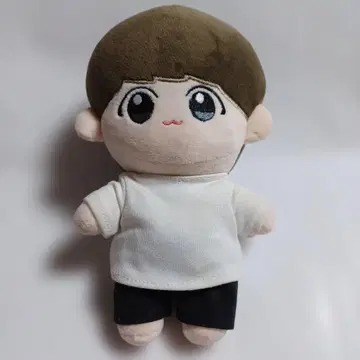 bts 정국 20cm 봉제 인형