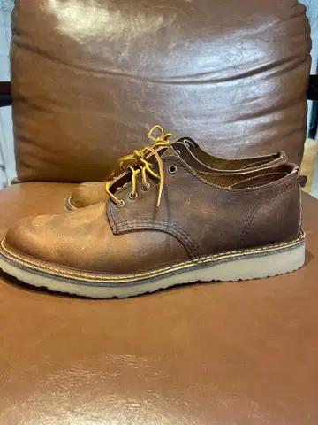 Red Wing weekender Oxford 브라운 25 새상품급