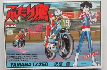 아리이 YAMAHA TZ250 사와타리 타카/후타리 타카 8