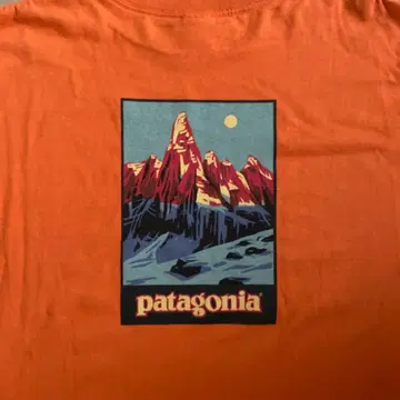 90s patagonia t-shirt 미국제
