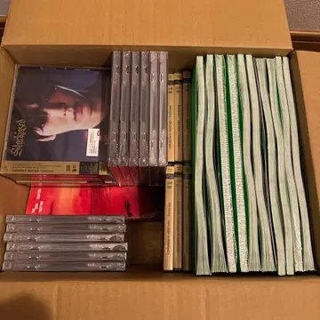 TXT CD starkissed thorn afterglow 묶음 판매