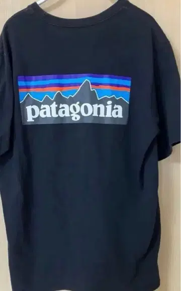 patagonia 반팔 T셔츠 S 파타고니아 블랙 포켓 포함