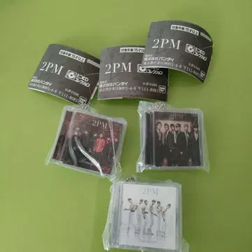 2PM 미니 CD 컬렉션 키링 3종 세트