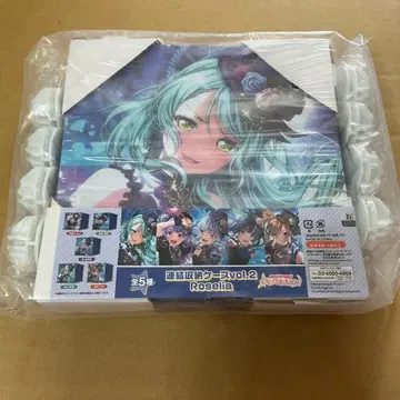 BanG Dream! 걸즈 밴드 파티! 히카와 사요 연결 보관 케이스
