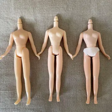네오 브라이스 디폴트 바디 3체
