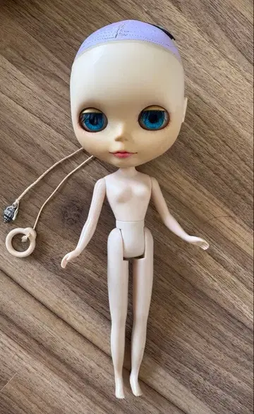 커스텀 브라이스 인형 본체