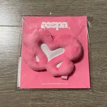 aespa 심볼 키링 카리나