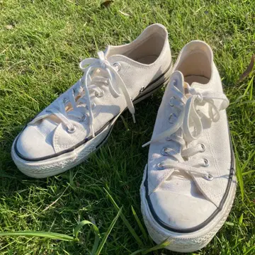 오늘 한정 Converse All Star Made in Japan 화이트