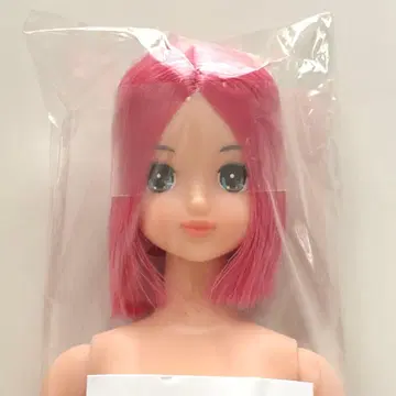 리카짱 캐슬 오타노시미 인형 로베리아 리틀팩토리 제니