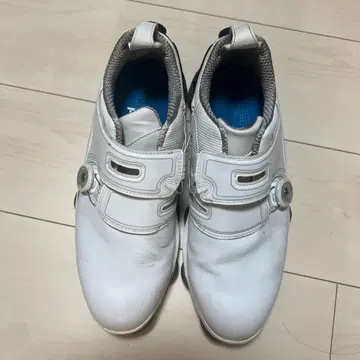 FootJoy FJ 골프화 BOA 화이트