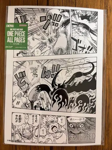 ONE PIECE 올 페이지 보니 루피 니카