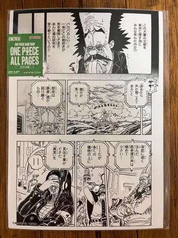 ONE PIECE 올 페이지 로빈 베가펑크