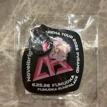Novelbright ARENA TOUR 2026 아크릴 키링