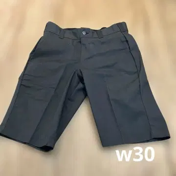 새상품 디키즈 Dickies FLEX 슬림핏 반바지 30
