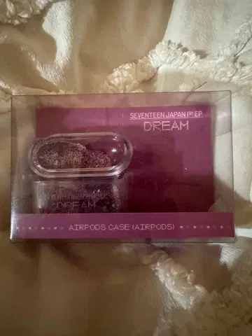 SEVENTEEN JAPAN 1st EP DREAM AirPods 케이스