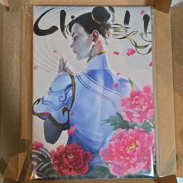 스트리트 파이터 6 춘리 캔버스 아트 보드