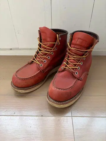 RED WING 8131 US7D 25.0cm