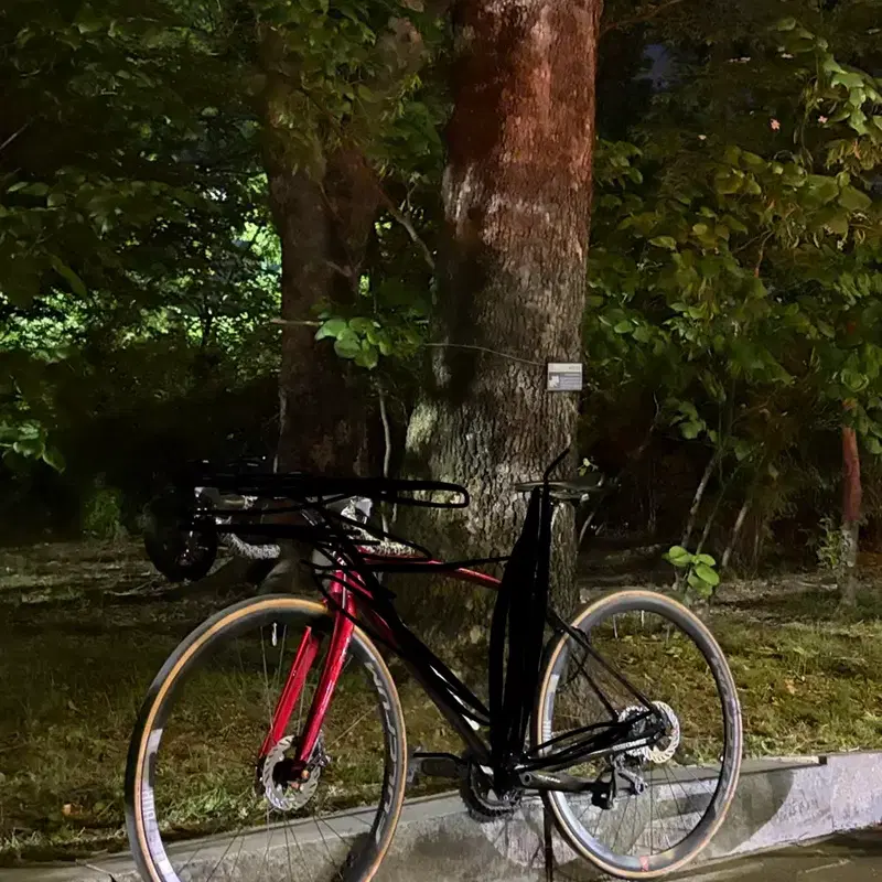 펄크럼 레이싱 800