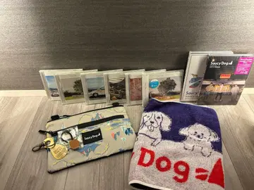 Saucy Dog 굿즈 CD Blu-ray 종합 세트